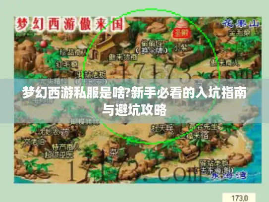 梦幻西游私服是啥?新手必看的入坑指南与避坑攻略 梦幻西游私服是啥?新手必看的入坑指南与避坑攻略