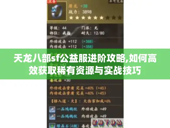 天龙八部sf公益服进阶攻略,如何高效获取稀有资源与实战技巧