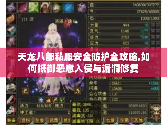 天龙八部私服安全防护全攻略,如何抵御恶意入侵与漏洞修复