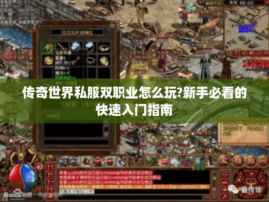 传奇世界私服双职业怎么玩?新手必看的快速入门指南 传奇世界私服双职业怎么玩?新手必看的快速入门指南