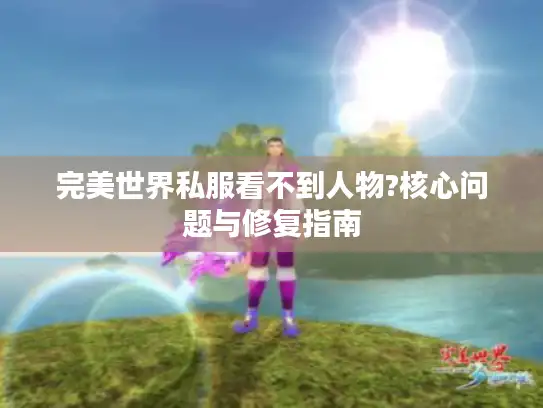 完美世界私服看不到人物?核心问题与修复指南