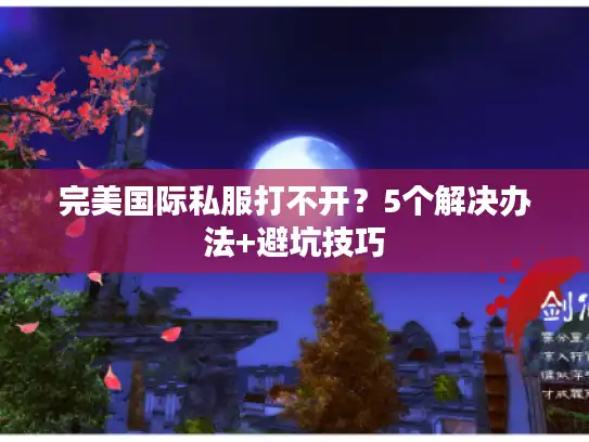 完美国际私服打不开？5个解决办法+避坑技巧