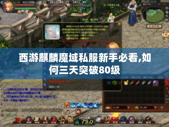 西游麒麟魔域私服新手必看,如何三天突破80级