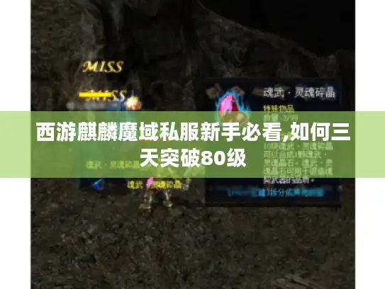 西游麒麟魔域私服新手必看,如何三天突破80级