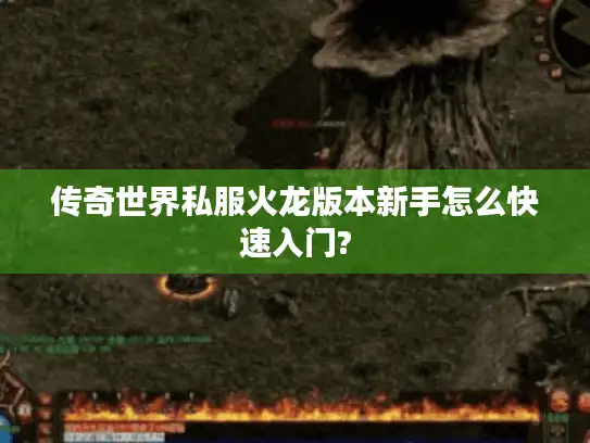 传奇世界私服火龙版本新手怎么快速入门? 传奇世界私服火龙版本新手怎么快速入门?