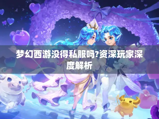 梦幻西游没得私服吗?资深玩家深度解析