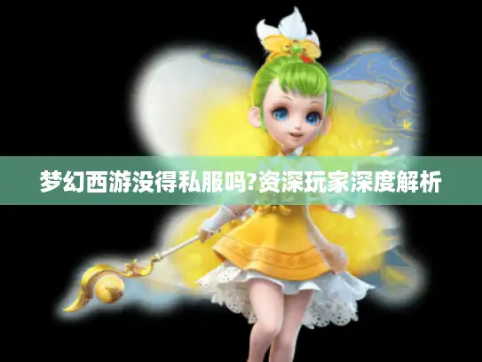 梦幻西游没得私服吗?资深玩家深度解析