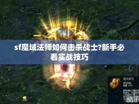 sf魔域法师如何击杀战士?新手必看实战技巧