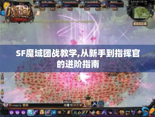 SF魔域团战教学,从新手到指挥官的进阶指南