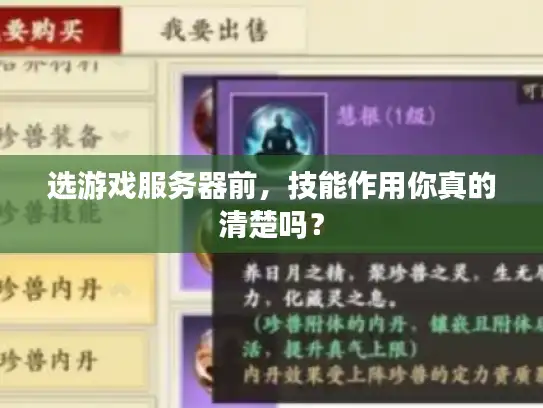 选游戏服务器前,技能作用你真的清楚吗? 选游戏服务器前,技能作用你真的清楚吗?