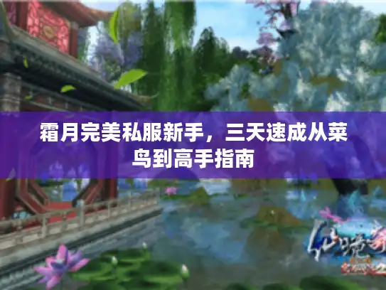 霜月完美私服新手，三天速成从菜鸟到高手指南
