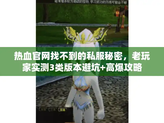热血官网找不到的私服秘密，老玩家实测3类版本避坑+高爆攻略
