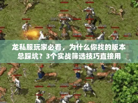 龙私服玩家必看,为什么你找的版本总踩坑?3个实战筛选技巧直接用 龙私服玩家必看,为什么你找的版本总踩坑?3个实战筛选技巧直接用
