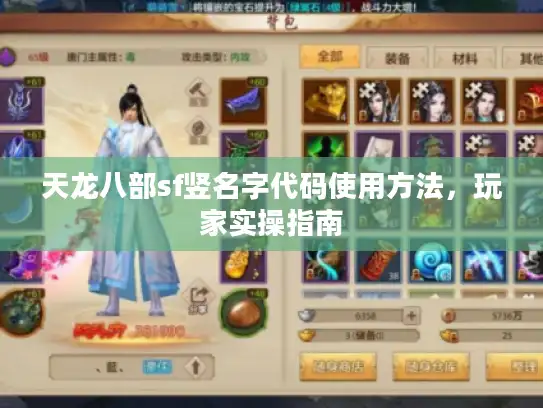 天龙八部sf竖名字代码使用方法，玩家实操指南