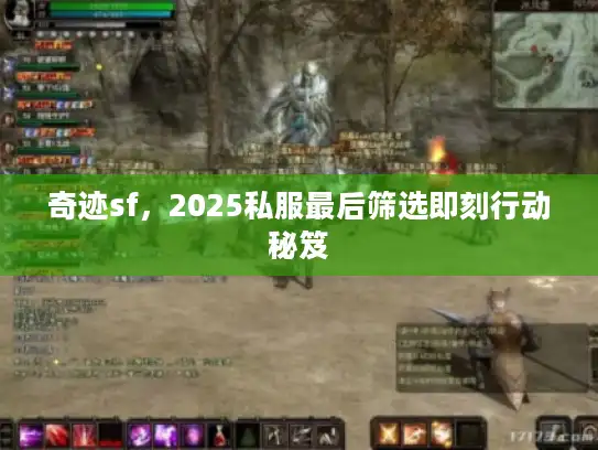 奇迹sf,2025私服最后筛选即刻行动秘笈 奇迹sf,2025私服最后筛选即刻行动秘笈