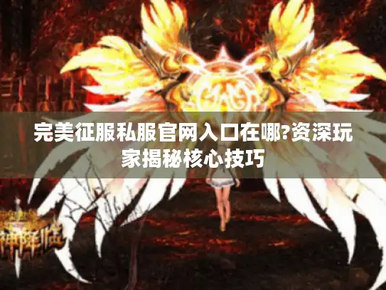 完美征服私服官网入口在哪?资深玩家揭秘核心技巧
