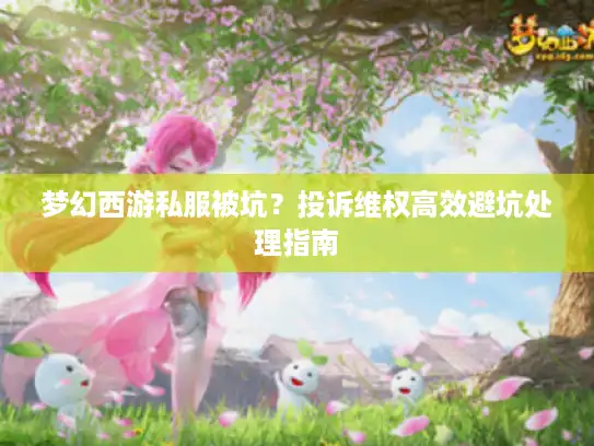 梦幻西游私服被坑?投诉维权高效避坑处理指南 梦幻西游私服被坑?投诉维权高效避坑处理指南