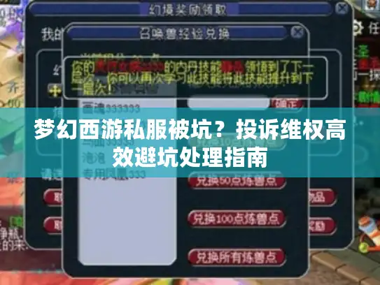 梦幻西游私服被坑?投诉维权高效避坑处理指南 梦幻西游私服被坑?投诉维权高效避坑处理指南