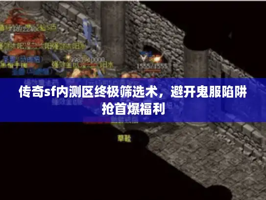 传奇sf内测区终极筛选术，避开鬼服陷阱抢首爆福利