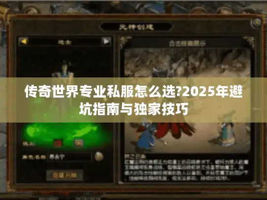 传奇世界专业私服怎么选?2025年避坑指南与独家技巧