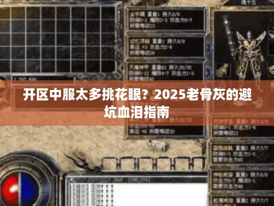 开区中服太多挑花眼?2025老骨灰的避坑血泪指南 开区中服太多挑花眼?2025老骨灰的避坑血泪指南