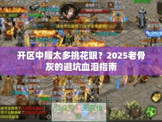 开区中服太多挑花眼?2025老骨灰的避坑血泪指南 开区中服太多挑花眼?2025老骨灰的避坑血泪指南