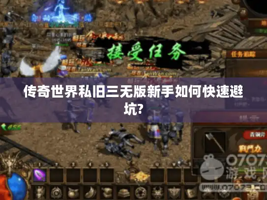 传奇世界私旧三无版新手如何快速避坑?