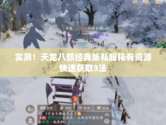 实测！天龙八部经典版私服稀有资源快速获取3法