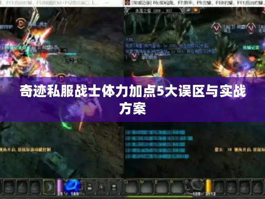 奇迹私服战士体力加点5大误区与实战方案