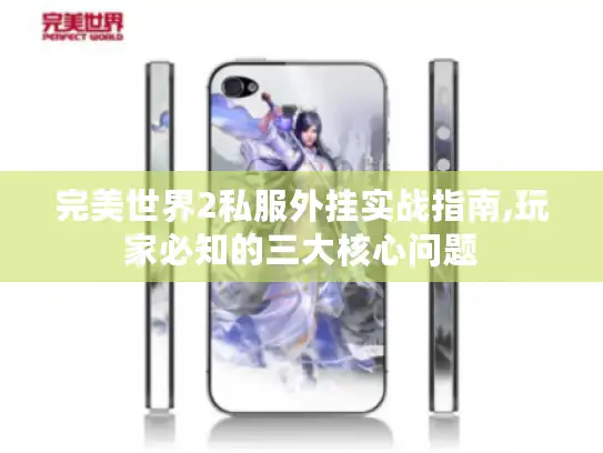 完美世界2私服外挂实战指南,玩家必知的三大核心问题