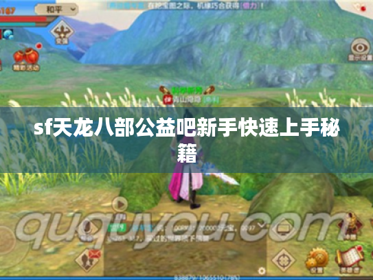 sf天龙八部公益吧新手快速上手秘籍 sf天龙八部公益吧新手快速上手秘籍