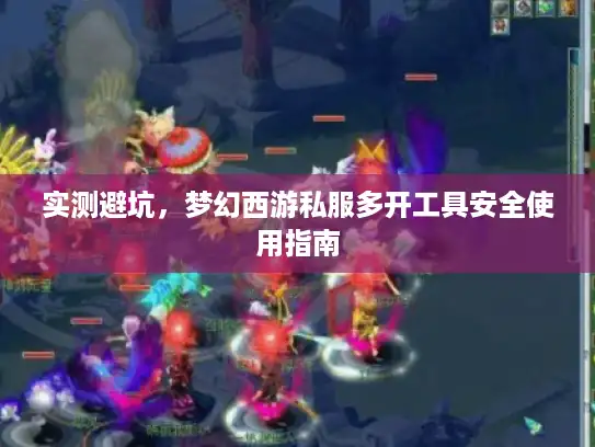 实测避坑，梦幻西游私服多开工具安全使用指南