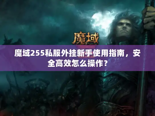 魔域255私服外挂新手使用指南，安全高效怎么操作？
