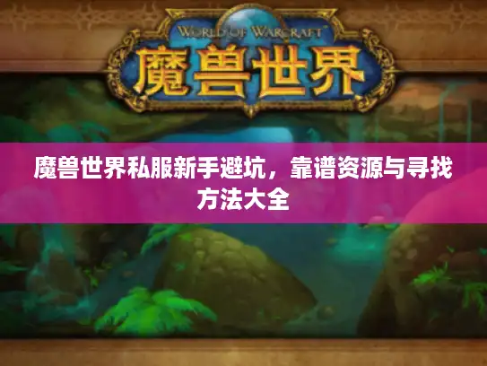 魔兽世界私服新手避坑，靠谱资源与寻找方法大全