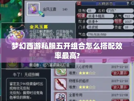 梦幻西游私服五开组合怎么搭配效率最高?