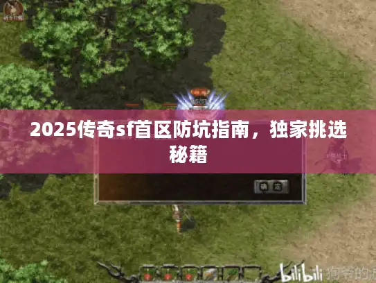 2025传奇sf首区防坑指南,独家挑选秘籍 2025传奇sf首区防坑指南,独家挑选秘籍