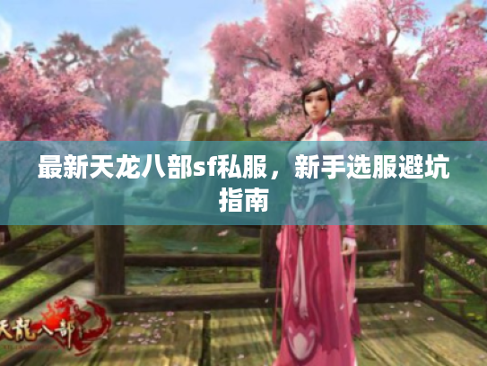 最新天龙八部sf私服,新手选服避坑指南 最新天龙八部sf私服,新手选服避坑指南