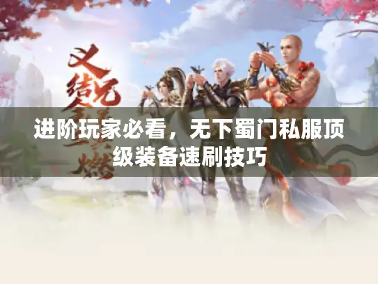 进阶玩家必看，无下蜀门私服顶级装备速刷技巧