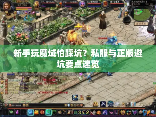 新手玩魔域怕踩坑？私服与正版避坑要点速览