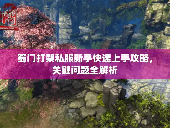 蜀门打架私服新手快速上手攻略，关键问题全解析