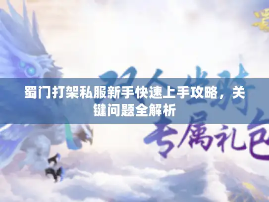 蜀门打架私服新手快速上手攻略，关键问题全解析