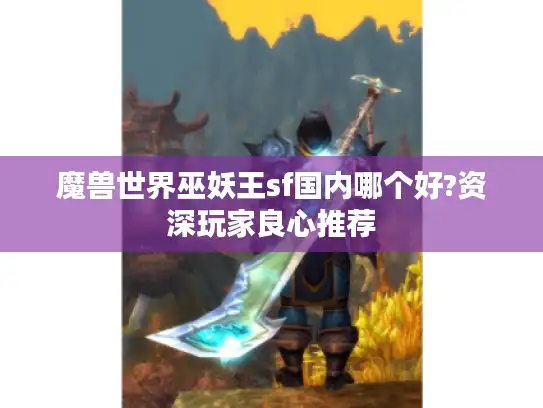 魔兽世界巫妖王sf国内哪个好?资深玩家良心推荐