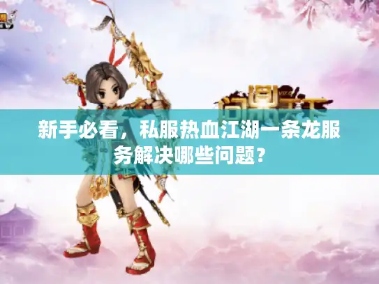 新手必看，私服热血江湖一条龙服务解决哪些问题？