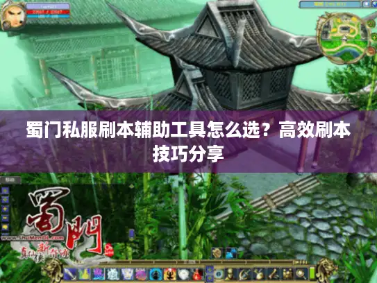 蜀门私服刷本辅助工具怎么选？高效刷本技巧分享