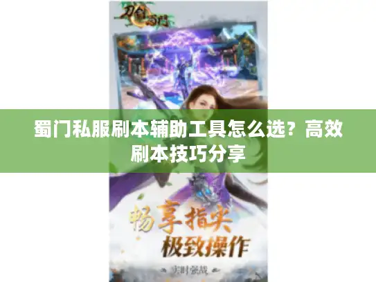 蜀门私服刷本辅助工具怎么选？高效刷本技巧分享
