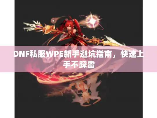 DNF私服WPE新手避坑指南，快速上手不踩雷