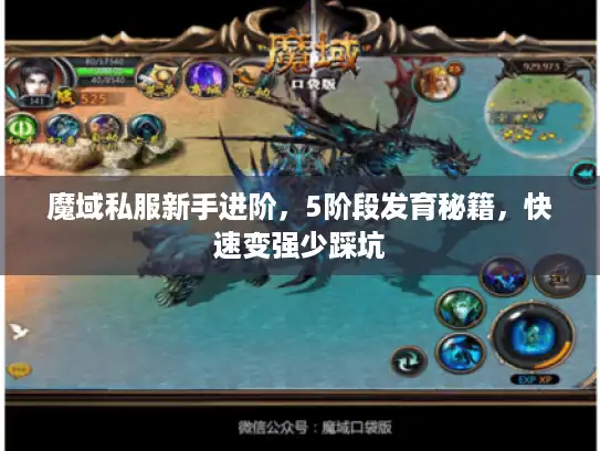 魔域私服新手进阶,5阶段发育秘籍,快速变强少踩坑 魔域私服新手进阶,5阶段发育秘籍,快速变强少踩坑