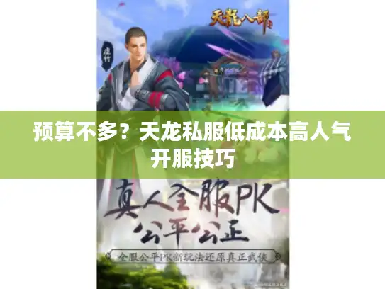 预算不多？天龙私服低成本高人气开服技巧