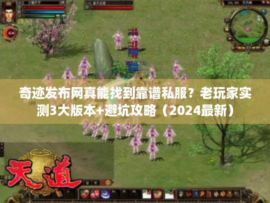 奇迹发布网真能找到靠谱私服？老玩家实测3大版本+避坑攻略（2024最新）