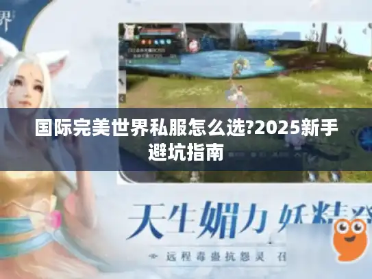 国际完美世界私服怎么选?2025新手避坑指南